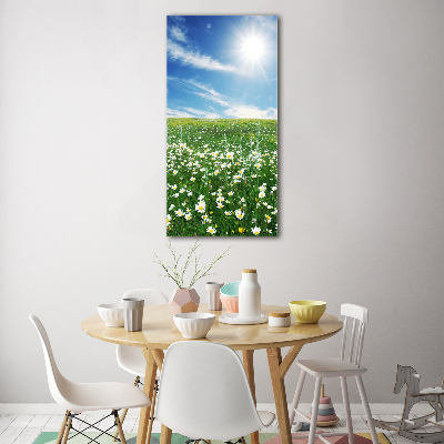 Print on acrylic Meadow