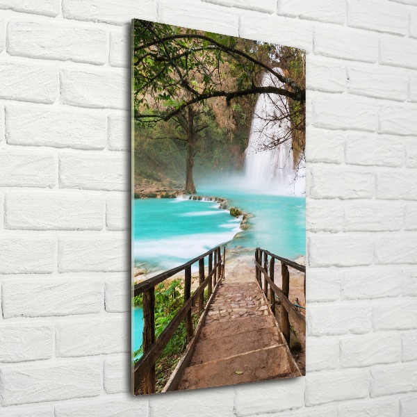 Print on acrylic Mexico waterfall