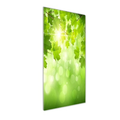 Print on acrylic glass Green leaves