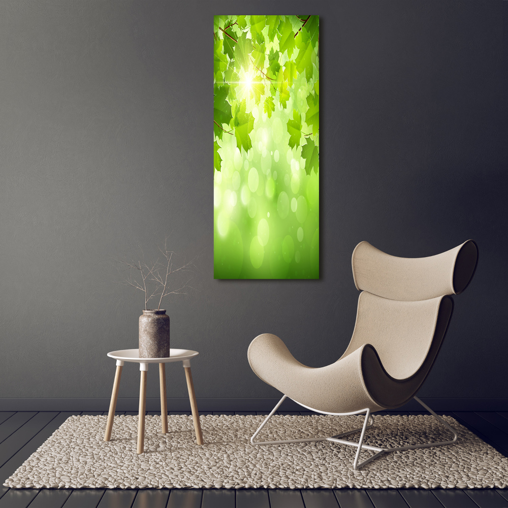 Print on acrylic glass Green leaves