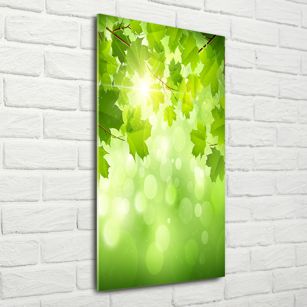 Print on acrylic glass Green leaves