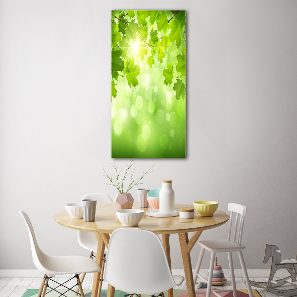 Print on acrylic glass Green leaves