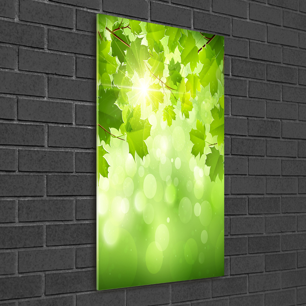 Print on acrylic glass Green leaves