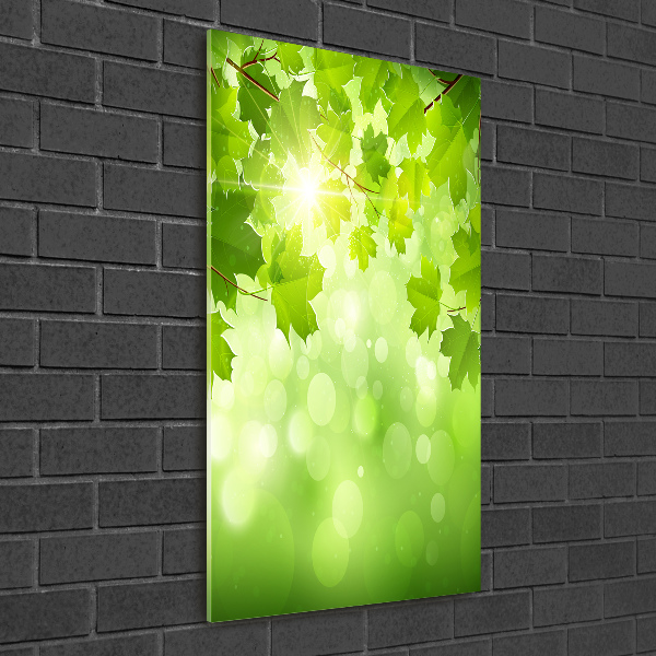 Print on acrylic glass Green leaves