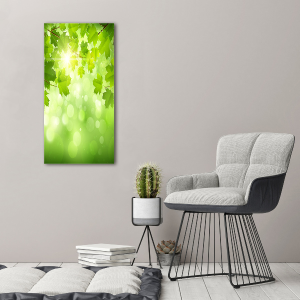 Print on acrylic glass Green leaves