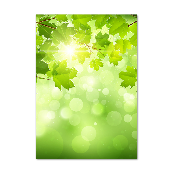 Print on acrylic glass Green leaves