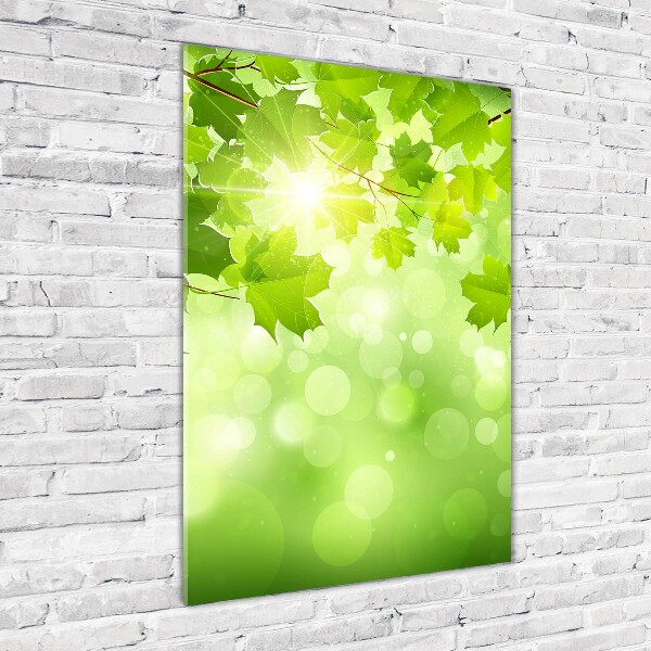 Print on acrylic glass Green leaves