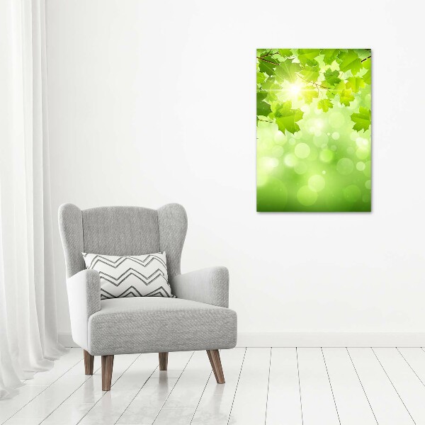 Print on acrylic glass Green leaves