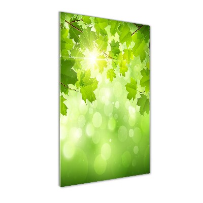 Print on acrylic glass Green leaves