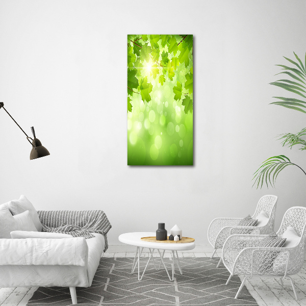 Print on acrylic glass Green leaves