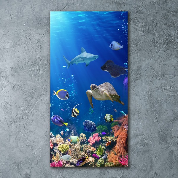 Print on acrylic glass Coral reef