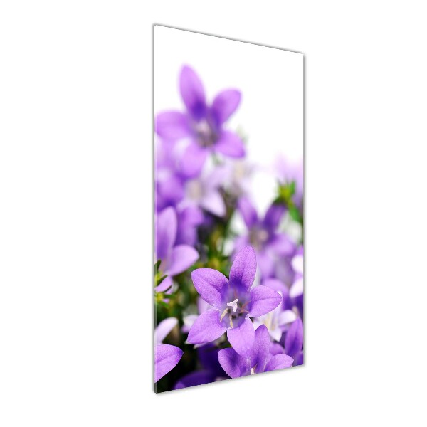 Acrylic glass print Purple bells