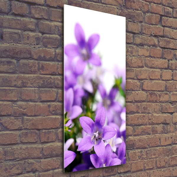 Acrylic glass print Purple bells