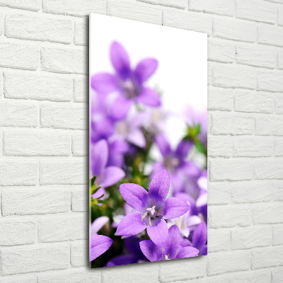 Acrylic glass print Purple bells