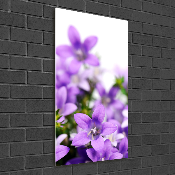 Acrylic glass print Purple bells