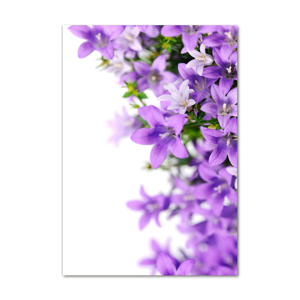 Acrylic glass print Purple bells