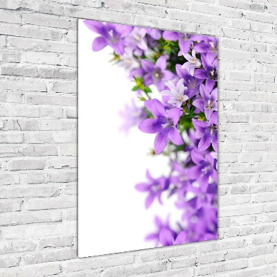 Acrylic glass print Purple bells