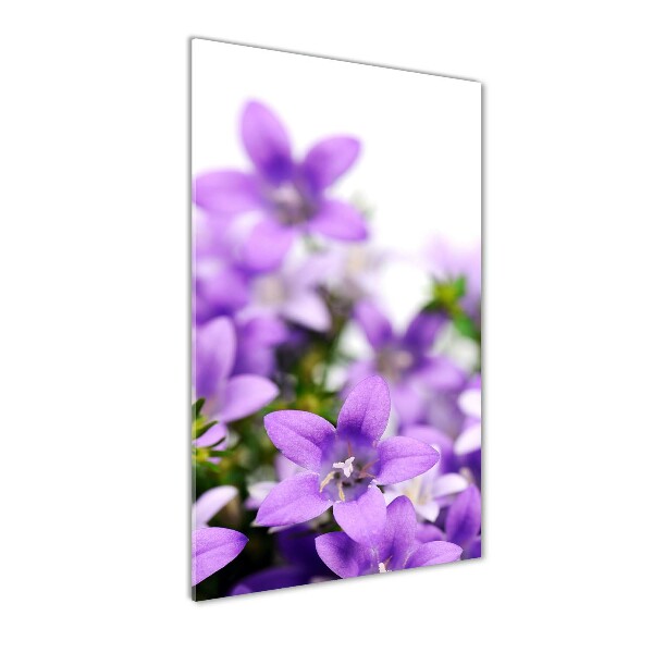 Acrylic glass print Purple bells