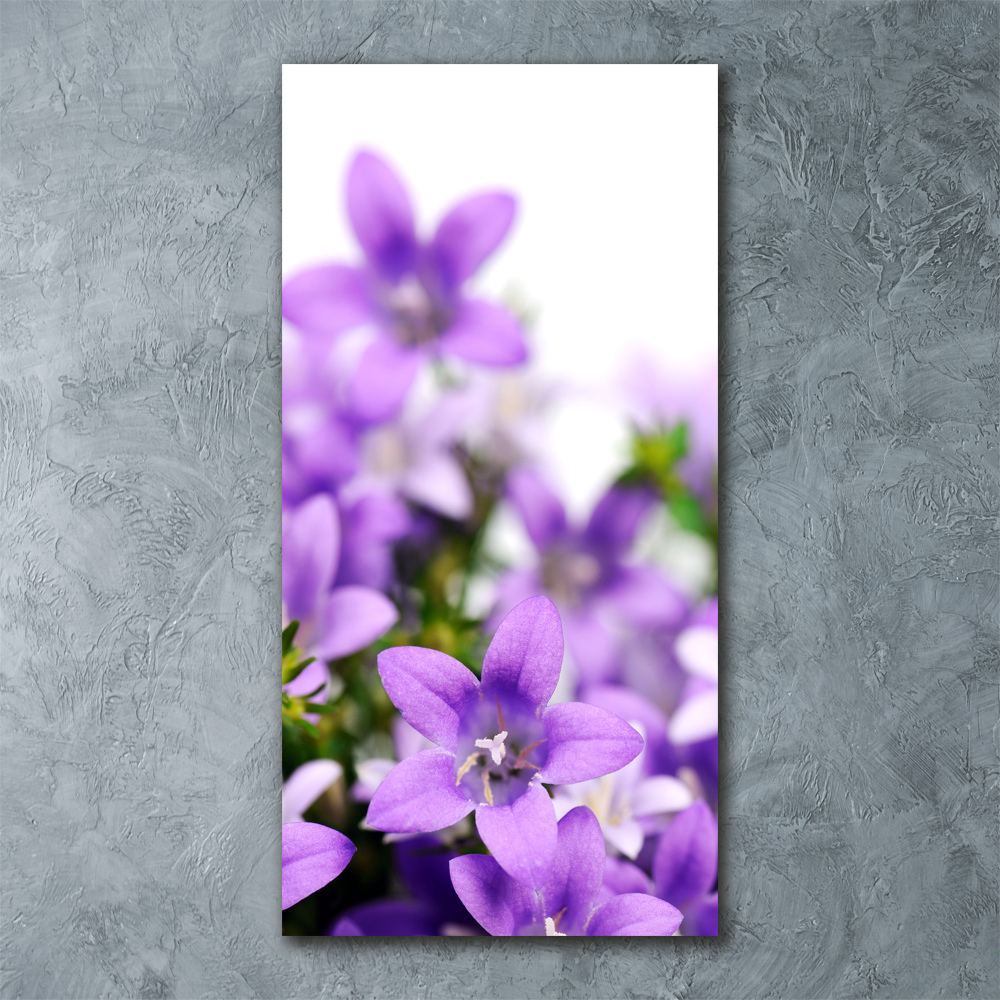 Acrylic glass print Purple bells