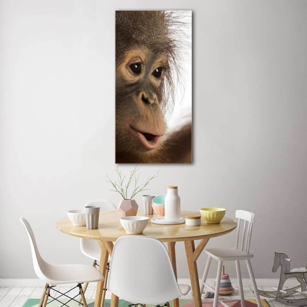 Print on acrylic Young orangutan