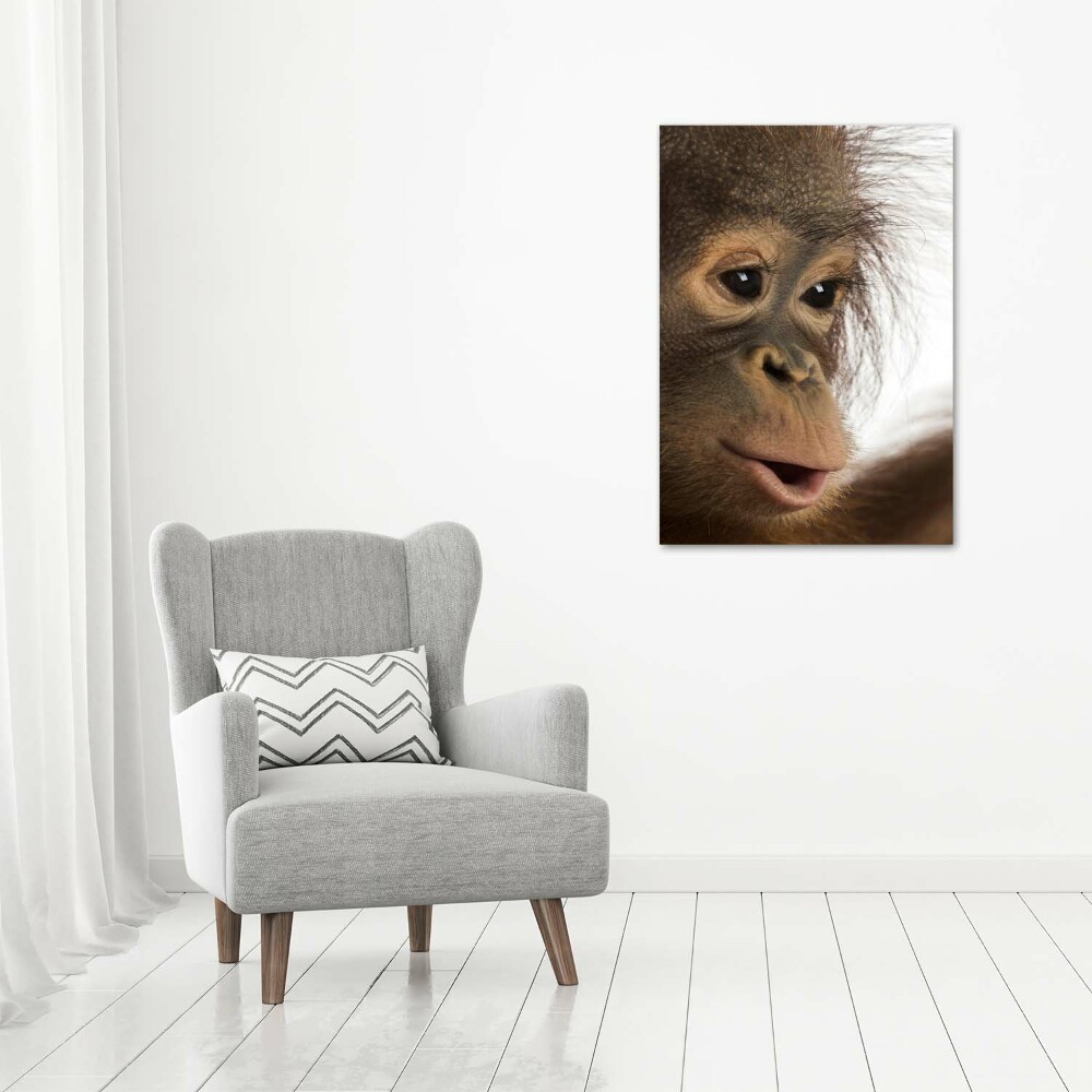 Print on acrylic Young orangutan