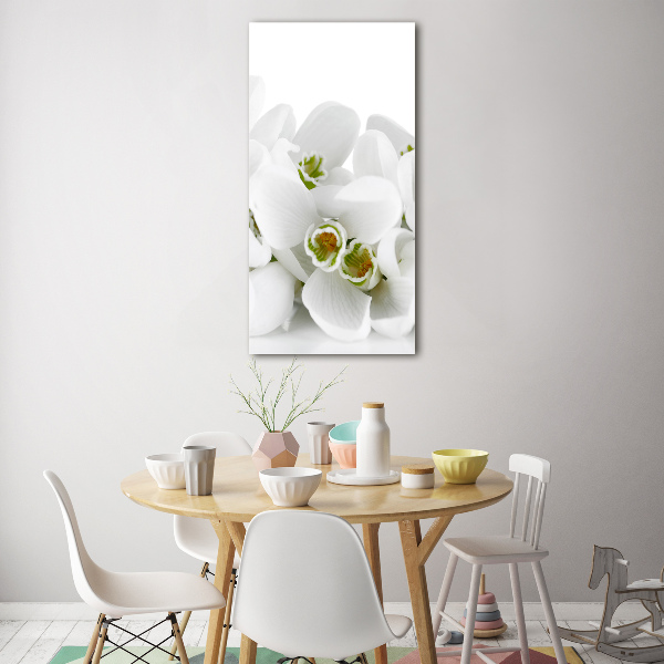 Acrylic glass print White snowdrops