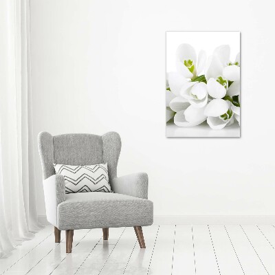 Acrylic glass print White snowdrops