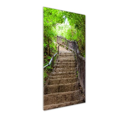 Wall art acrylic Stairs in the forest