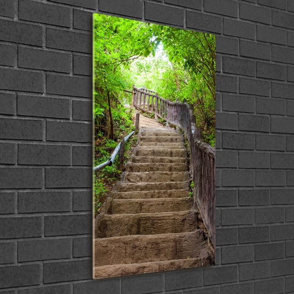 Wall art acrylic Stairs in the forest