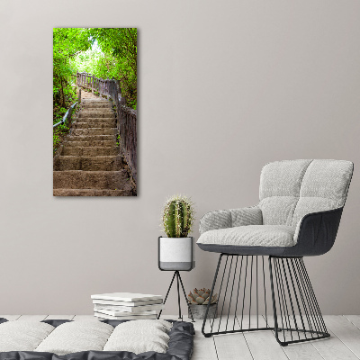 Wall art acrylic Stairs in the forest