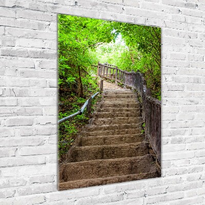 Wall art acrylic Stairs in the forest