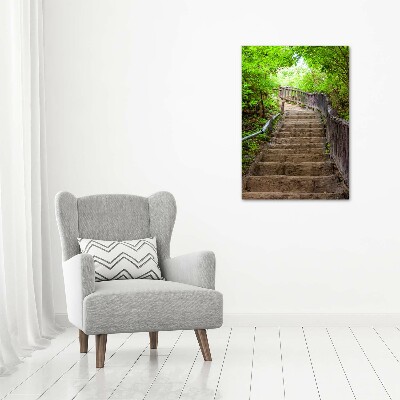 Wall art acrylic Stairs in the forest