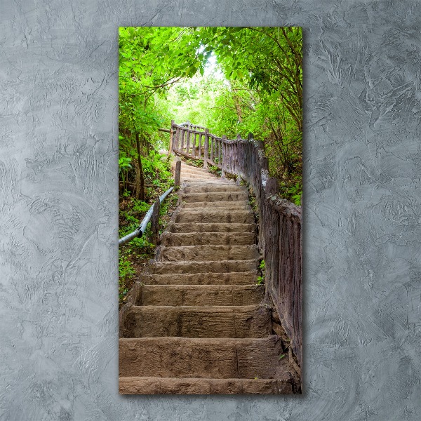 Wall art acrylic Stairs in the forest