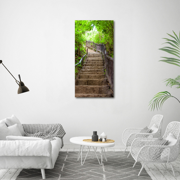 Wall art acrylic Stairs in the forest