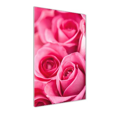 Print on acrylic Pink roses