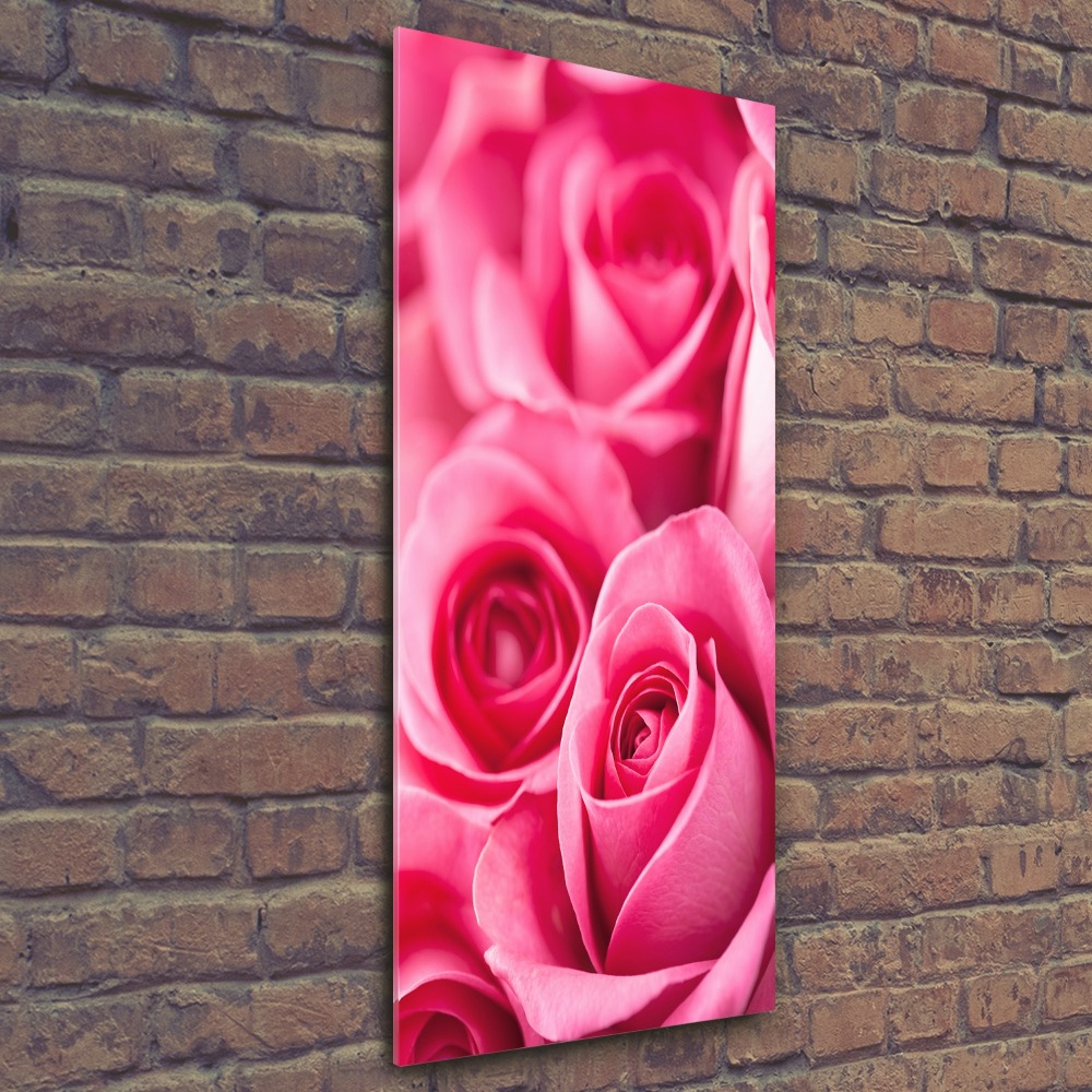 Print on acrylic Pink roses