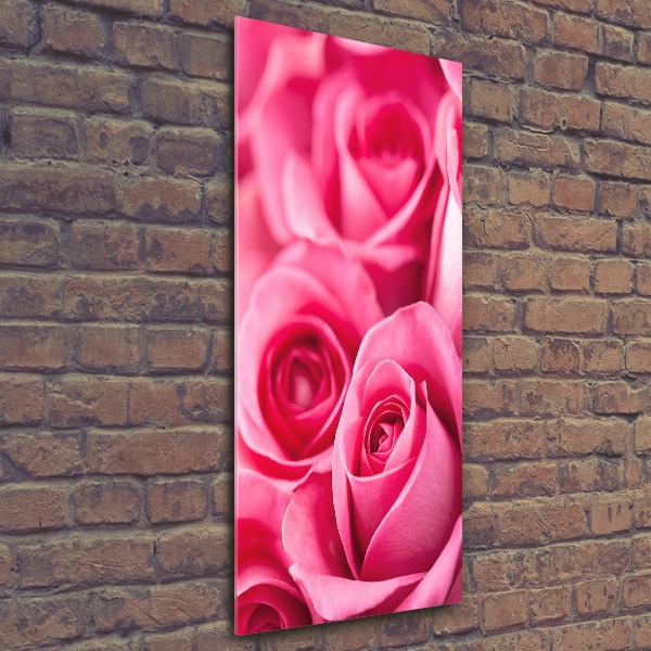 Print on acrylic Pink roses