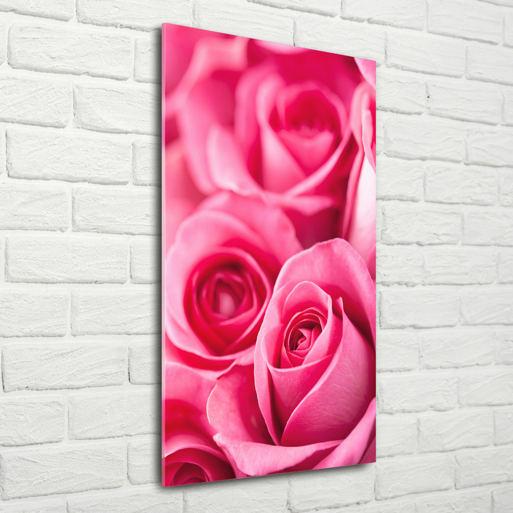 Print on acrylic Pink roses