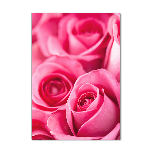 Print on acrylic Pink roses