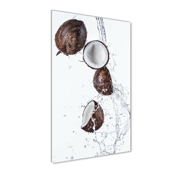 Acrylic print Coconut