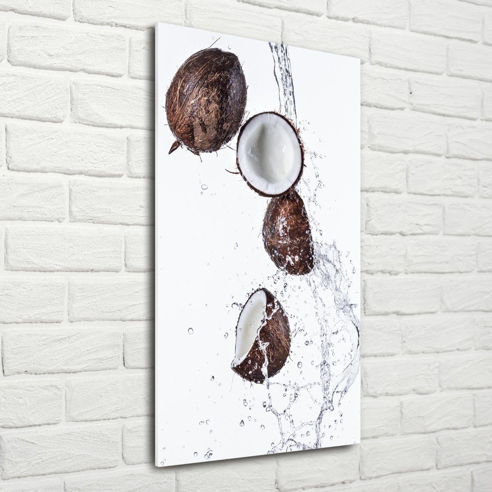 Acrylic print Coconut