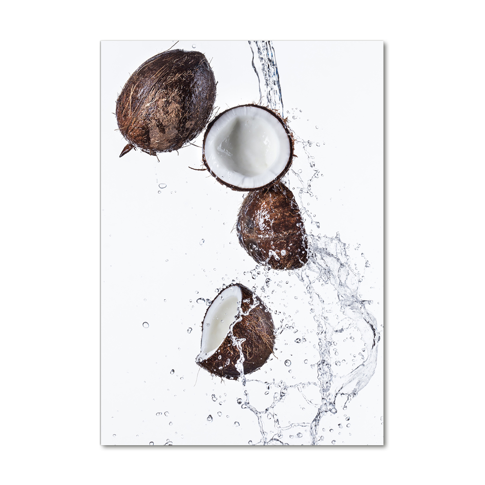 Acrylic print Coconut