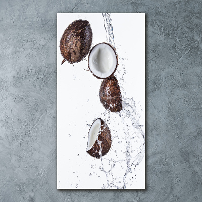 Acrylic print Coconut