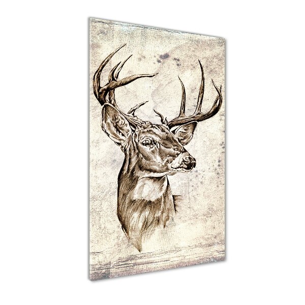 Acrylic print Deer