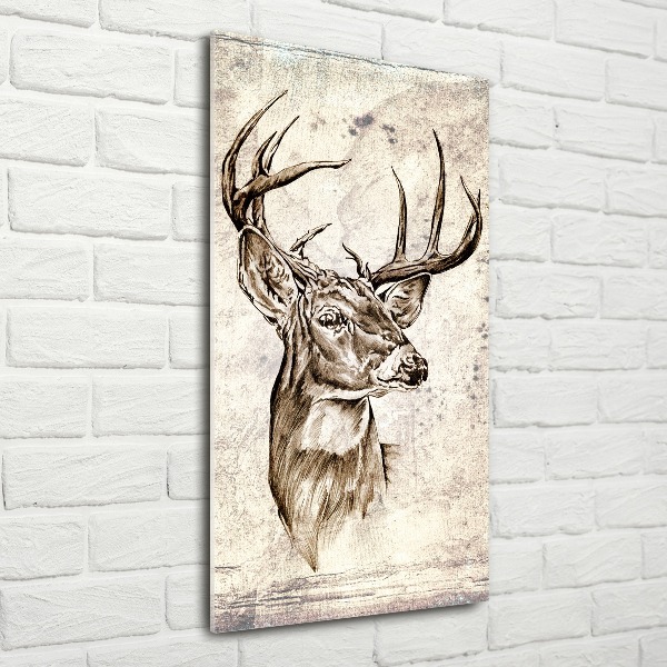 Acrylic print Deer