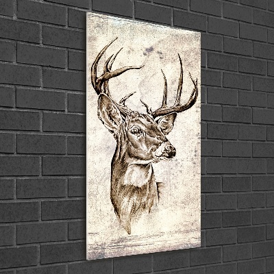 Acrylic print Deer