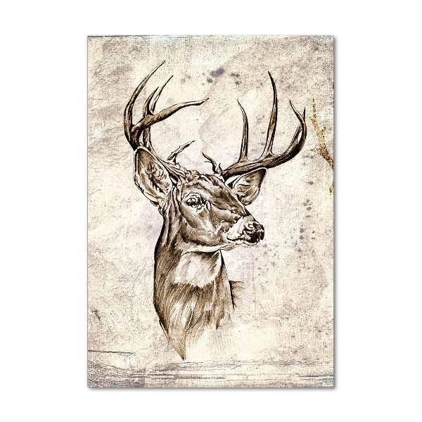 Acrylic print Deer