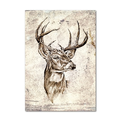 Acrylic print Deer