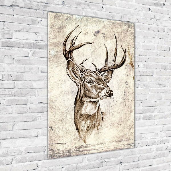 Acrylic print Deer