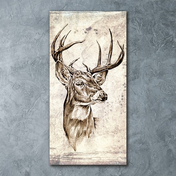 Acrylic print Deer